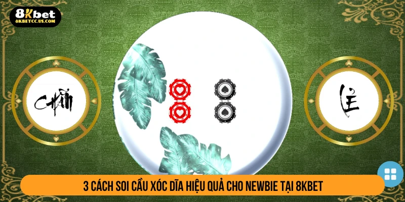 3 cách soi cầu xóc dĩa hiệu quả cho newbie tại 8KBET