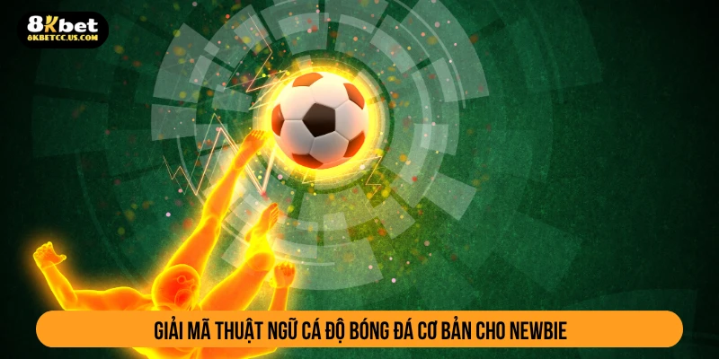 Giải mã thuật ngữ cá độ bóng đá cơ bản cho newbie