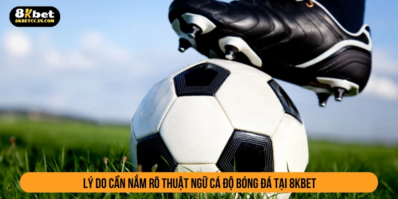 Lý do cần nắm rõ thuật ngữ cá độ bóng đá tại 8KBET