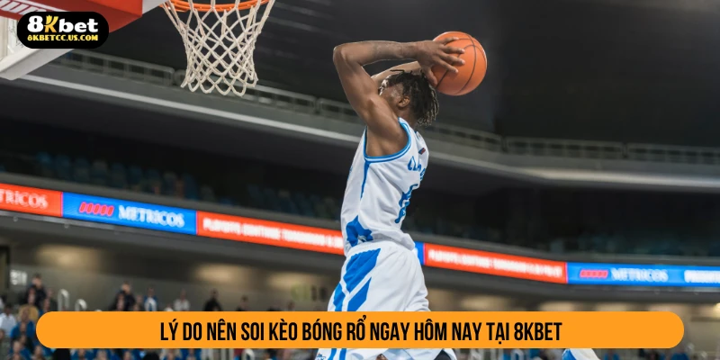 Lý do nên soi kèo bóng rổ ngay hôm nay tại 8KBET