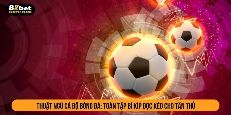 thuật ngữ cá độ bóng đá