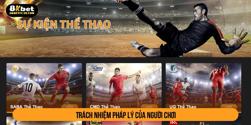 Trách nhiệm pháp lý của người chơi